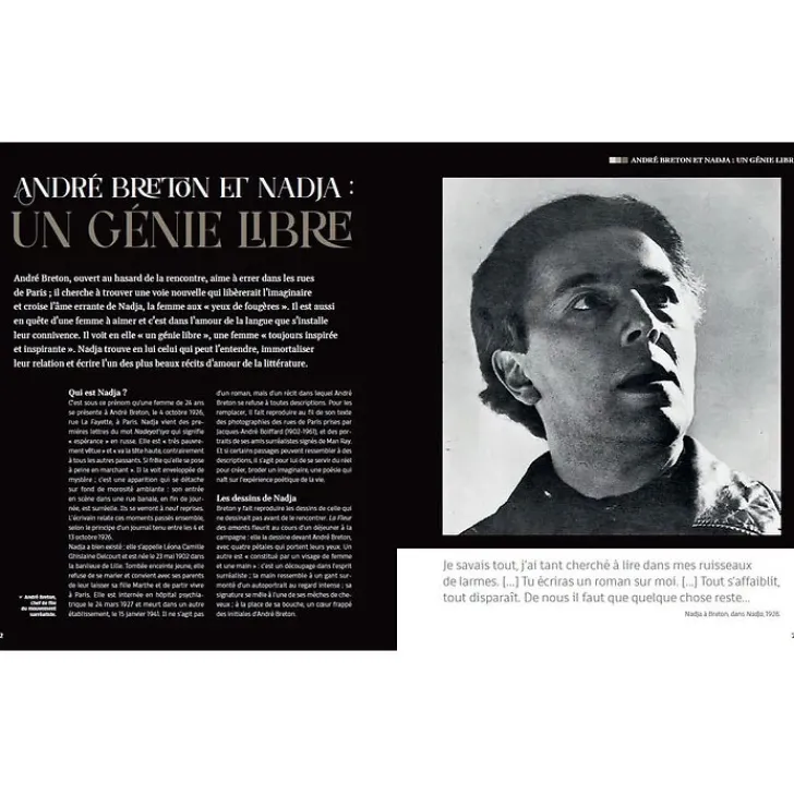 Outlet Boutiques de musées 100 ans de Surréalisme