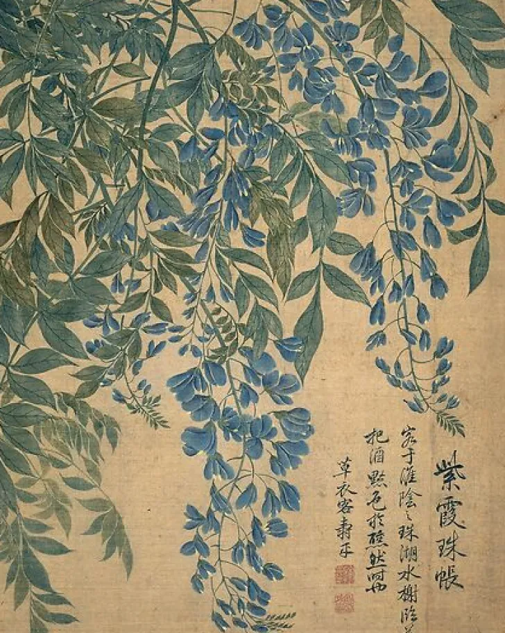 Hot Boutiques de musées Album de douze feuilles : fleurs (affiches d'art encadrées)