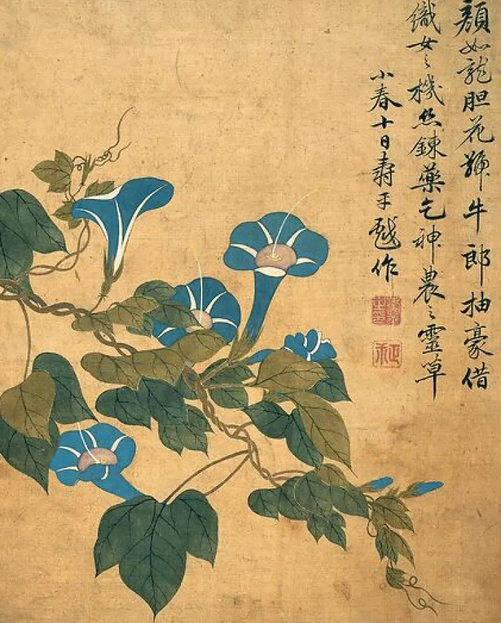 Online Boutiques de musées Album de douze feuilles : fleurs (toiles sans cadre)