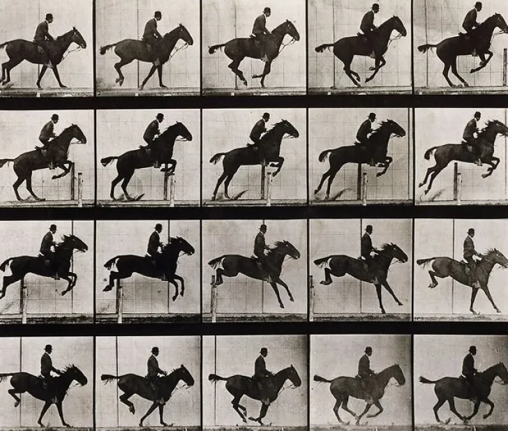 Sale Boutiques de musées Animal Locomotion : Saut d'obstacle, cheval noir (toiles sur châssis)