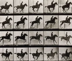 Boutiques de musées Panneaux Aluminium|Panneaux Acryliques-Animal Locomotion : Saut d'obstacle, cheval noir (panneaux aluminium)