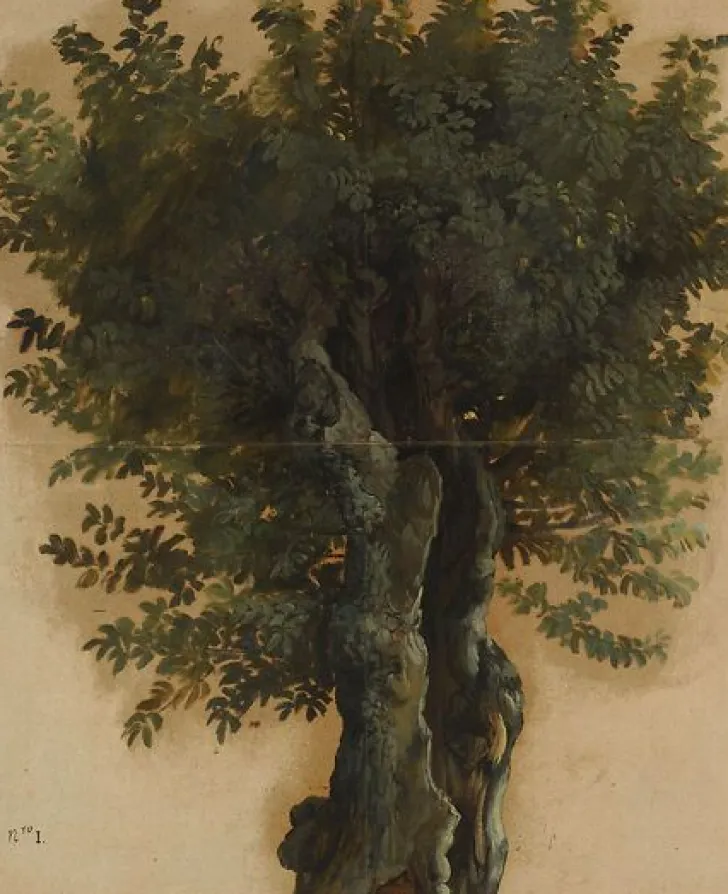 Hot Boutiques de musées Arbres avec un tronc ouvert (toiles encadrées)