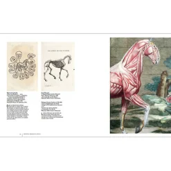 Boutiques de musées Livres D'Art-Beautés intérieures - L'animal à corps ouvert