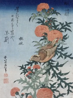 Boutiques de musées Panneaux Aluminium|Panneaux Acryliques-Bec croisé et chardon (panneaux aluminium)