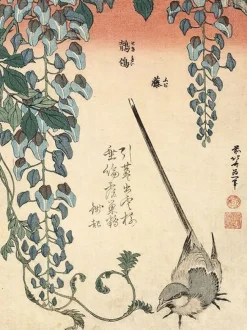 Boutiques de musées Toiles Sans Cadre|Affiches D'Art Encadrées-Bergeronnette et glycine (toiles sans cadre)