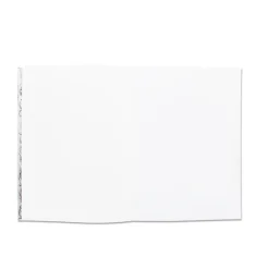 Best Boutiques de musées Bloc-notes Château de Fontainebleau - Panneau de lambris au motif de la Salamandre - A5