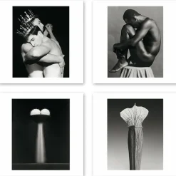 Sale Boutiques de musées Boîte de 15 cartes & enveloppes - Robert Mapplethorpe