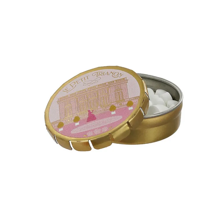 Boutiques de musées Boîte de bonbons saveur menthe - Le Petit Trianon Rose