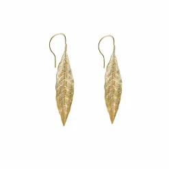 Boutiques de musées Boucles D'Oreilles-Boucles d'oreilles Feuille de laurier