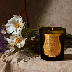 Outlet Boutiques de musées Bougie Classique 270g Ernesto - Trudon