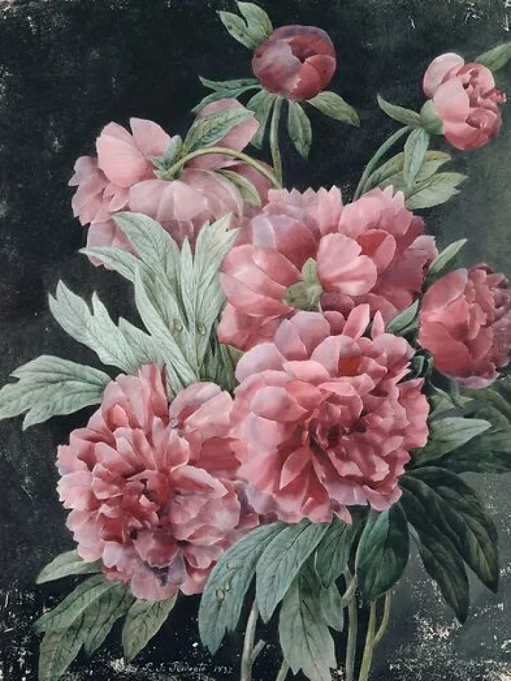 Boutiques de musées Toiles Encadrées|Toiles Sur Châssis-Branches de pivoines (toiles encadrées)