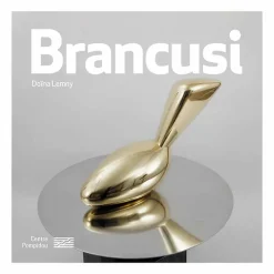 Hot Boutiques de musées Brancusi - Monographie