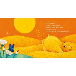 Boutiques de musées Livres Jeunesse-Cache-cache avec Petit Noun