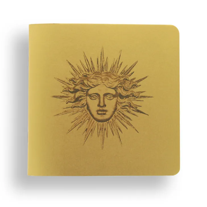 Online Boutiques de musées Cahier - Apollon ou Soleil