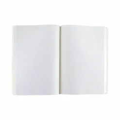 Boutiques de musées Cahier à élastique Henri Matisse - Nu bleu IV, 1952