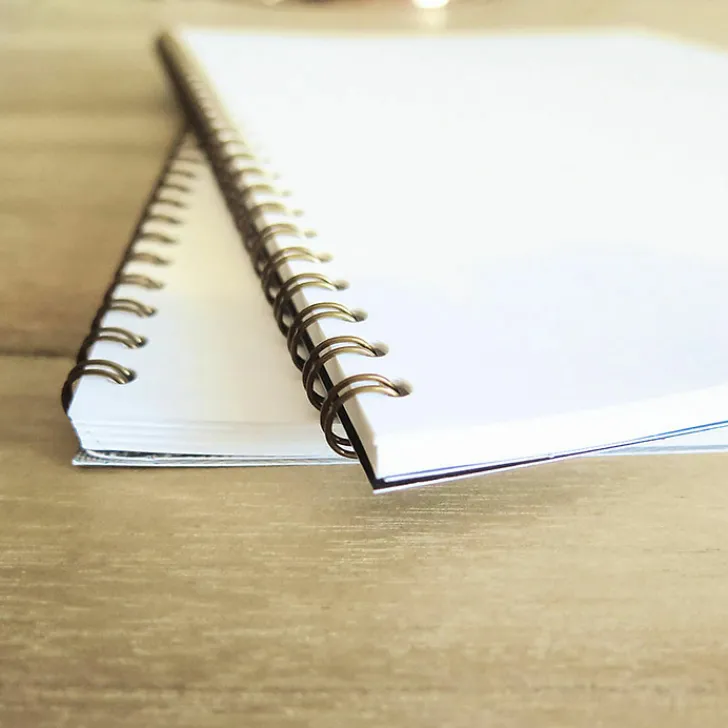 Boutiques de musées Cahiers Et Carnets-Cahier à spirale Léon Monet. Frère de l'artiste et collectionneur