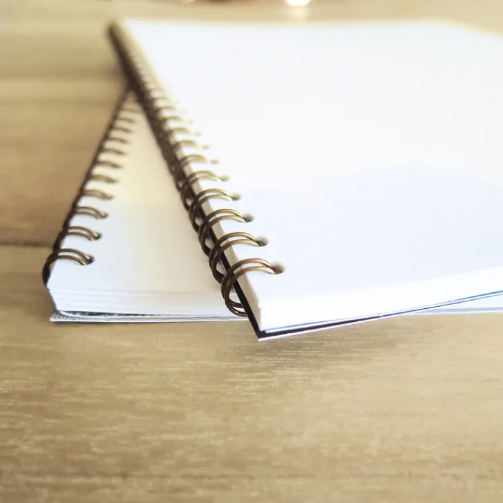 Boutiques de musées Cahier à spirale William Downey - Sarah Bernhardt, 1902