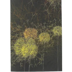 Outlet Boutiques de musées Cahier Artistes et robots - Les Pissenlits