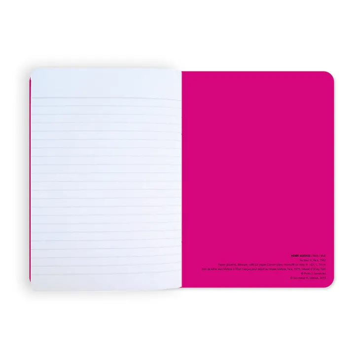 Boutiques de musées Cahiers Et Carnets-Cahier Henri Matisse - Nus bleus IV & II