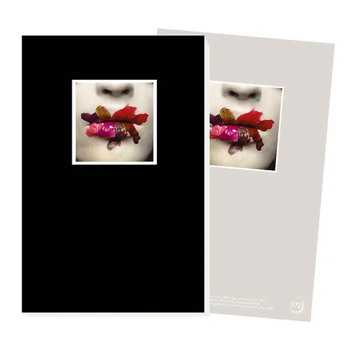 Boutiques de musées Cahiers Et Carnets-Cahier Irving Penn - Bouche
