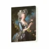 Online Boutiques de musées Cahier Élisabeth-Louise Vigée-Lebrun - Marie-Antoinette de Lorraine-Hasbourg, reine de France, à la rose, 1783