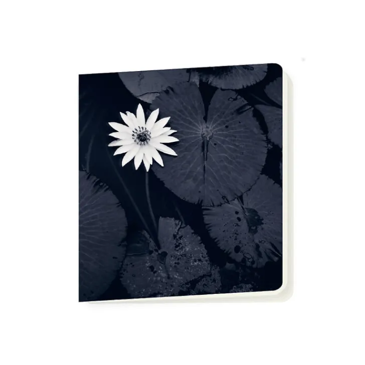 New Boutiques de musées Cahier Michael Kenna - La fleur de lotus de Mamta, Viengkeo, Luang Prabang, Laos, 2015