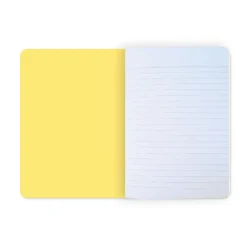 Boutiques de musées Cahier Picasso Iconophage