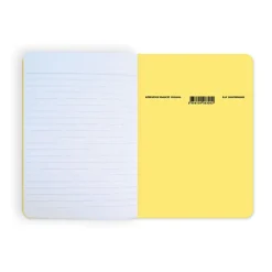 Boutiques de musées Cahier Picasso Iconophage