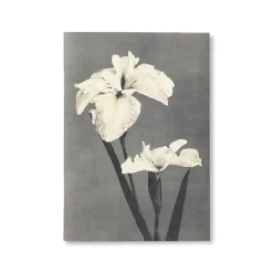 Online Boutiques de musées Carnet de notes - Fleurs japonaises