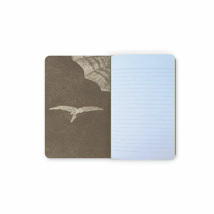 Hot Boutiques de musées Carnet Francisco de Goya y Lucientes - Une façon de voler, 1816-1823