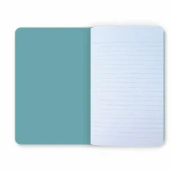 Boutiques de musées Cahiers Et Carnets-Carnet Pablo Picasso - Grande baigneuse au livre