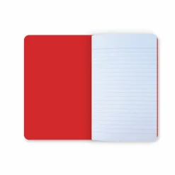 Boutiques de musées Carnet Questions prioritaires - Conseil constitutionnel