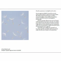 Boutiques de musées Catalogues D'Exposition-Carte blanche à Duy Anh Nhan Duc - Catalogue d'exposition