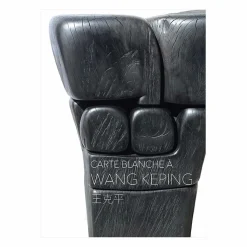 Boutiques de musées Catalogues D'Exposition-Carte blanche à Wang Keping - Catalogue d'exposition