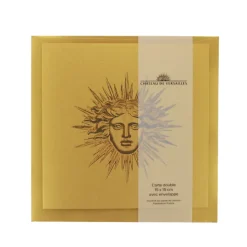 Best Boutiques de musées Carte double avec enveloppe - Apollon ou Soleil
