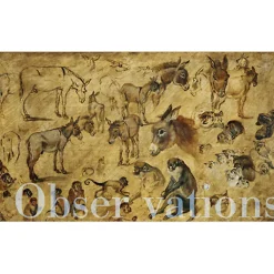 Boutiques de musées Catalogues D'Exposition-Catalogue d'exposition - Beauté Animale