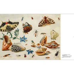 Boutiques de musées Catalogues D'Exposition-Catalogue d'exposition - Beauté Animale