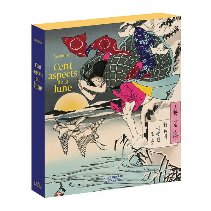 Sale Boutiques de musées Cent aspects de la lune