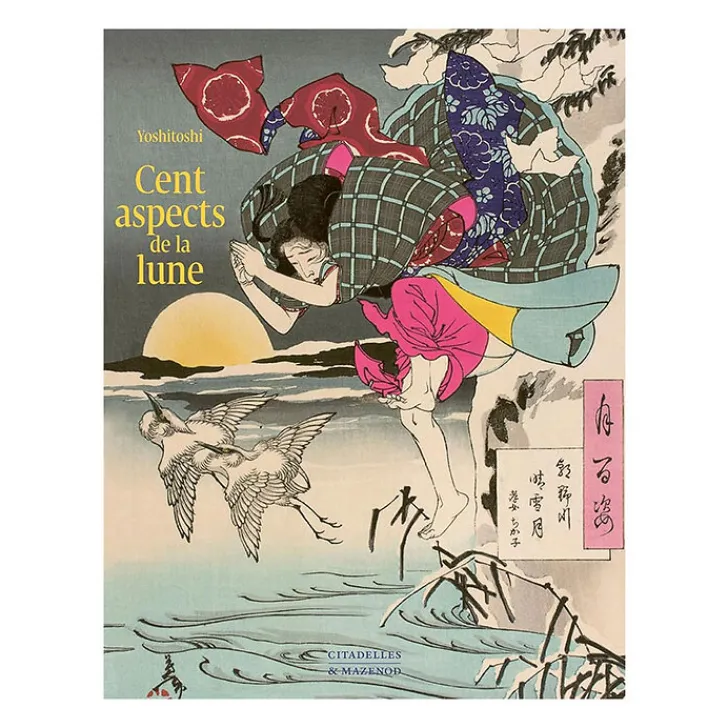 Sale Boutiques de musées Cent aspects de la lune