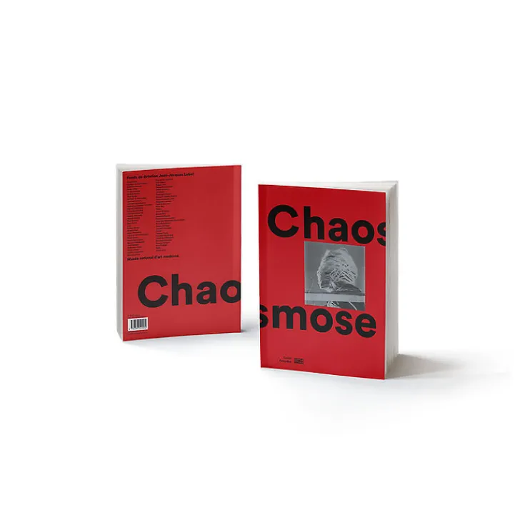 Online Boutiques de musées Chaosmose - Catalogue de l'exposition