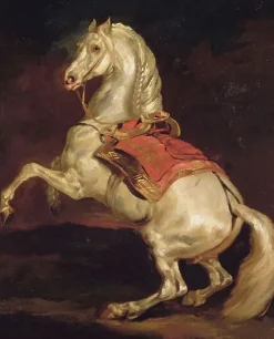 Discount Boutiques de musées Cheval cabré dit Tamerlan (affiches d'art encadrées)