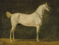 Boutiques de musées Toiles Sans Cadre-Cheval de Napoléon "le Distingué" (toiles sans cadre)