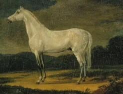 Boutiques de musées Toiles Encadrées|Toiles Sans Cadre-Cheval de Napoléon "le Vizir" (toiles encadrées)