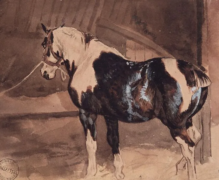 Boutiques de musées Cheval pie au repos à l'écurie (panneaux aluminium)
