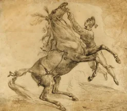 Boutiques de musées Panneaux Aluminium|Panneaux Acryliques-Cheval tenu à la bride, en se cabrant (panneaux aluminium)