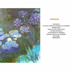 Hot Boutiques de musées Claude Monet Nymphéas