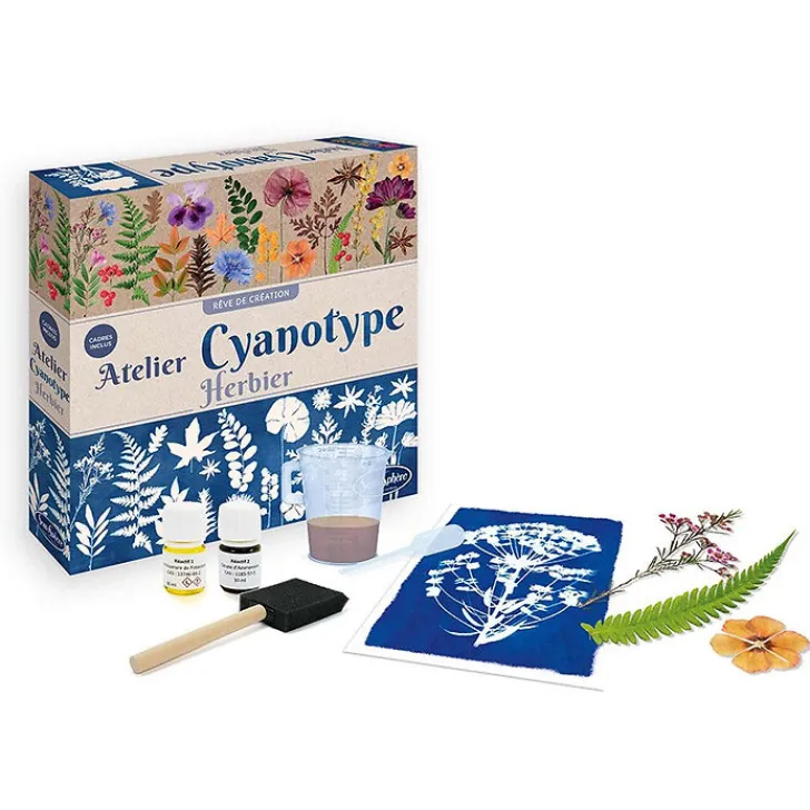 Boutiques de musées Loisirs Créatifs-Coffret Atelier Cyanotype Herbier
