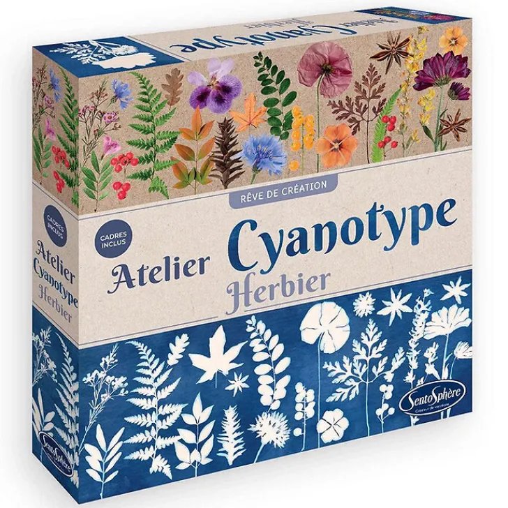 Boutiques de musées Loisirs Créatifs-Coffret Atelier Cyanotype Herbier