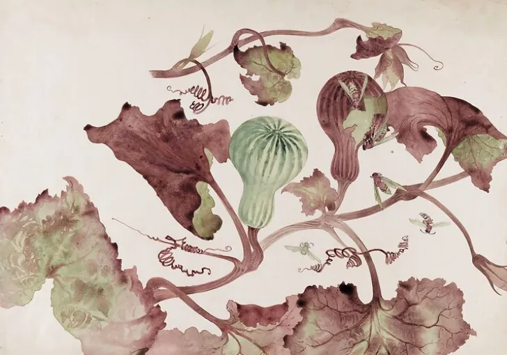 Boutiques de musées Toiles Sur Châssis|Toiles Sans Cadre-Courge et guêpes (toiles sur châssis)