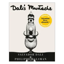 Outlet Boutiques de musées Dali's mustache